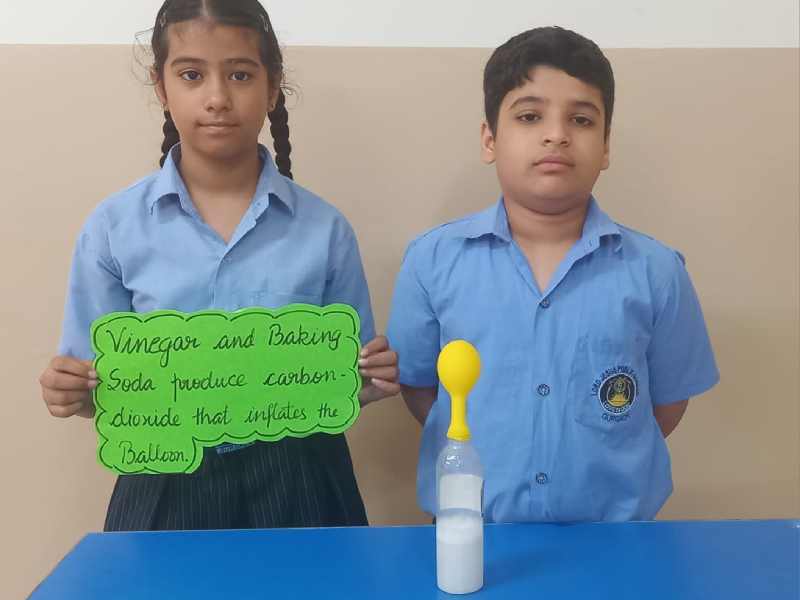 Lord Jesus Public school 37D Gallery Image